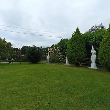 Séjour chez l'habitant In Wexford *